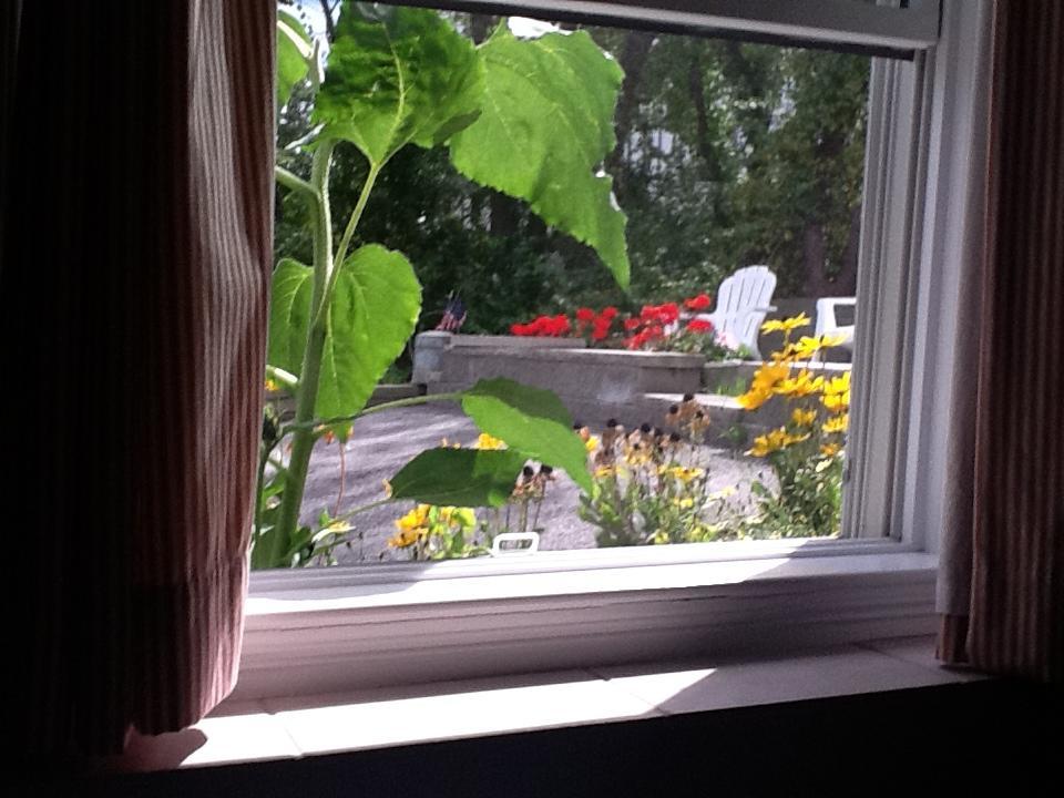 Josephine'S On The Bay Bed And Breakfast Hull Exteriér fotografie